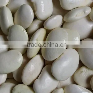 KOSHER Supplier Canned White Kidney Beans thumbnail-2