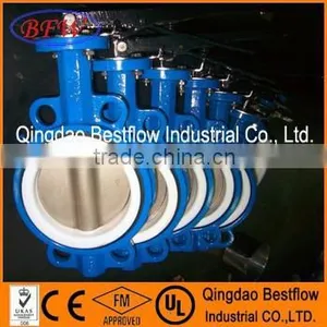 PTFE Seat Butterfly Valve thumbnail-1