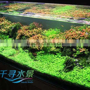 Distributors Wanted Aquarium Chihiros Doctor Water Ionizer System 330-10012 thumbnail-4