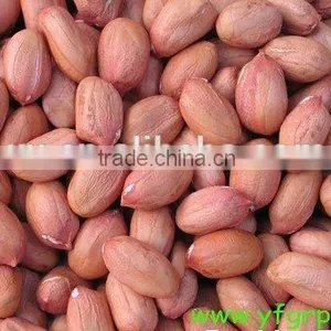 Dry Roasted Peanut Peeler Machine India Peanut Red Skin Peeling Machine For Roasted Peanut thumbnail-2
