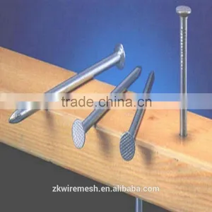 Galvanized Common Nails With Good Quality(ISO900&factory) thumbnail-2