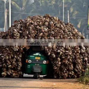 Professional Coconut Shell Fiber Bale Opening Machine Line Coconut Fiber Machine thumbnail-4