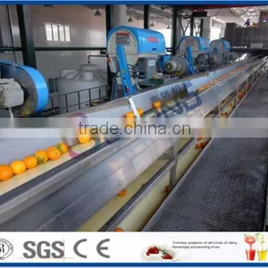 Citrus and Similar Fruits Processing Line thumbnail-3