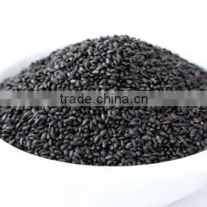 Cassia Tora Seeds Natural Seeds thumbnail-1