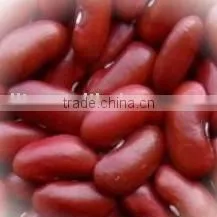 Red Kidney Beans thumbnail-1