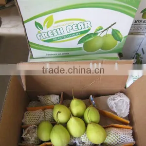 China Green Pear thumbnail-1