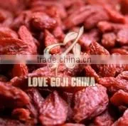 Goji Berry Infused thumbnail-1