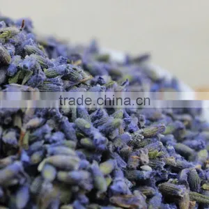 2015 Harvest Dried Lavender Flower,Dropship Herbal Tea,China Herb Tea thumbnail-5