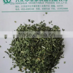 Dehydrated Celery Leaves thumbnail-1