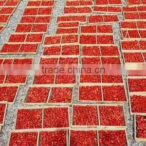 Natural Red Dried Tomato Wholesale Dehydrated thumbnail-5