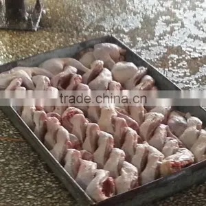 Chicken /broiler Slaughter House 500bph/1000bph/4000bph thumbnail-5