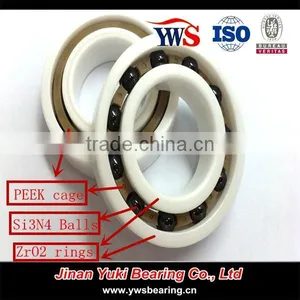 PEEK Cage ZrO2 Outer Rings Si3N4 Balls 6006 ZrO2 Full Ceramic Bearing thumbnail-2