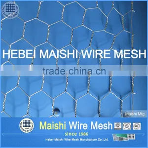 Hexagonal Wire Netting/poultry Netting thumbnail-4
