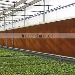 Commercial Greenhouse thumbnail-6