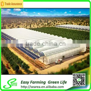 Economical Plastic Agriculture Greenhouse thumbnail-1