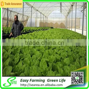 Vertical Greenhouse Growing System thumbnail-3