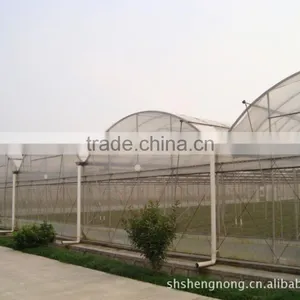 BLD Tunnel Greenhouse for Sale Simple Tunnel po Film Greenhouse thumbnail-1