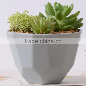 2016 New Design Irregular Ceramic Succulent Planter thumbnail-3