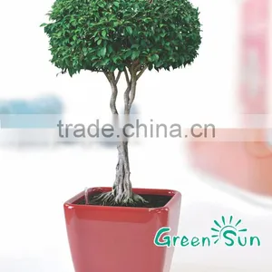 Hot Sale Square Fashion Plastic Garden Balcony Flower Pots thumbnail-1