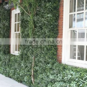 Exterior Grade Green Walls Made With Buxus Sprays to Create a Simple Green Backdrop thumbnail-5