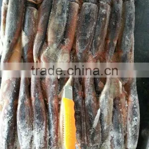 Japenese Squid Product Type thumbnail-2