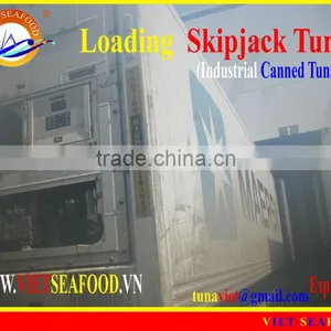 LOADING FROZEN SKIPJACK TUNA thumbnail-1