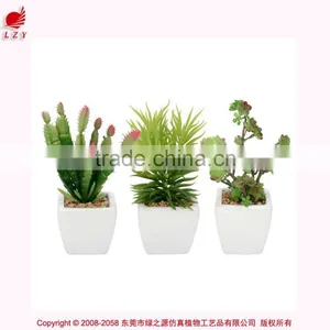 Artificial Succulent Combination Mini Succulent Potted High Quality Mini Artificial Catus thumbnail-1