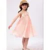 Girl Dresses Summer 2013 Pleated Chiffon One-Piece Dress With Lace Collar Child thumbnail-2