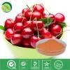 Cherry Juice Powder thumbnail-1