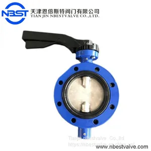 DN100 Lug Body Butterfly Valve 24 Inch Worm Gear Butterfly Valve D71X-10L thumbnail-1