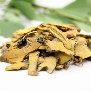 Polygonum Cuspidatum Extract Herbal Plant Extract Resveratrol thumbnail-3