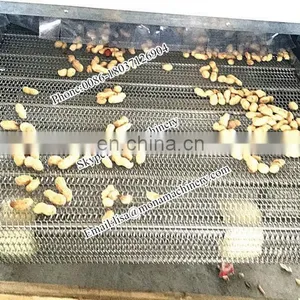 Factory Price Continuous Conveyer Belt Dryer/ Belt Chain Dryer / Chain Dryer thumbnail-3