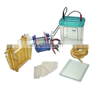 Best Seller Gel Electrophoresis Virtual Lab thumbnail-3
