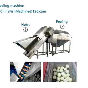 Peeling Machine for Onion thumbnail-1