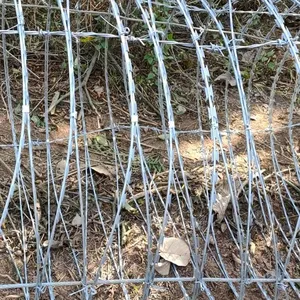 Hot Dipped Galvanized Concertina Razor Barbed Wire for Robust Security Fencing thumbnail-4