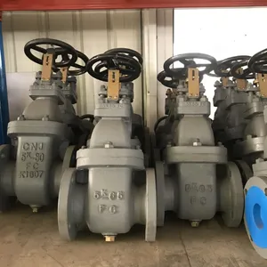 Hot Sale JIS Cas Iron Flange Type Gate Valve Use Marine FC 5K 100A 65A Gate Valve thumbnail-5