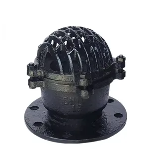 Hot Sale Low Pressure Cast Iron 6 Inch Water Pump Foot Valve Cast Steel WCB Check Valves thumbnail-1