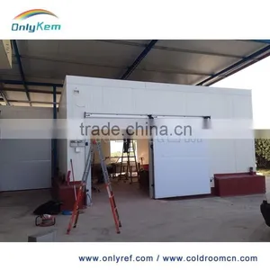 OnlyKem Cold Storage for Frozen Food,freezer Room for Sale thumbnail-4