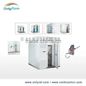 China Commercial Freezer for Fish and Chicken thumbnail-1