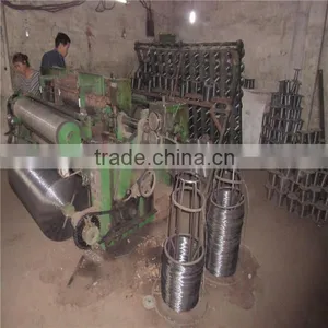 Search Cheap Galvanized/PVC Coated Welded Wire Mesh(factory) thumbnail-1