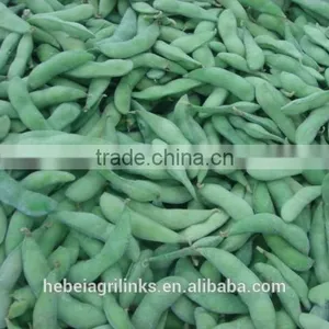 Frozen Soyabean, Frozen Type Fresh Soyabean thumbnail-2