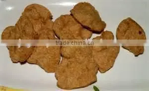 Soya Protein Making Machine thumbnail-5