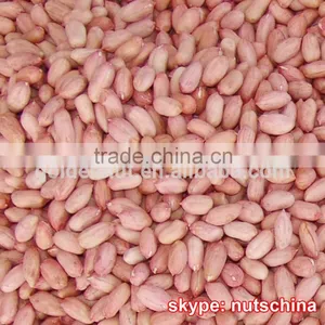 Chinese Blanched Peanuts 25/29 29/33 35/39 (VIRGINIA TYPE) thumbnail-3