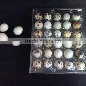High Quality Disposable Plastic Eggs Tray Blister Packaging Quail Egg Tray 30 Holes Cells 30 Acounts Quality Choice thumbnail-6