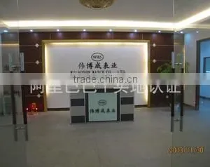 Shenzhen Wilboson Watch Co., Ltd. company overview - view 1 thumbnail