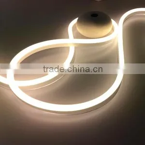 2700K Led Neon 240V 120V 24V 12V thumbnail-1