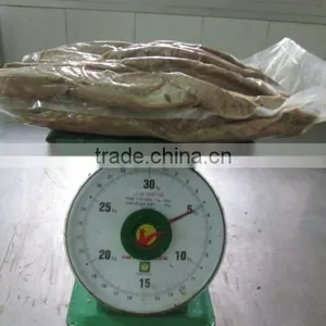 Frozen Precooked Tuna Loin thumbnail-1