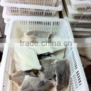 Frozen Fish Fillets-John Dory Fillet for Market thumbnail-2