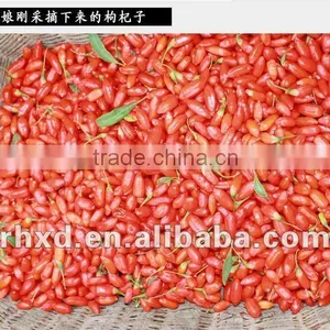 High Quality Dried Raw Goji Berries thumbnail-4