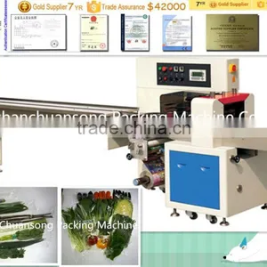 Multi-function Fresh Vegetable Packing Machinery (DCTWB-350X) thumbnail-1